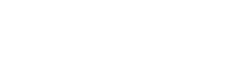 Ayle Capital